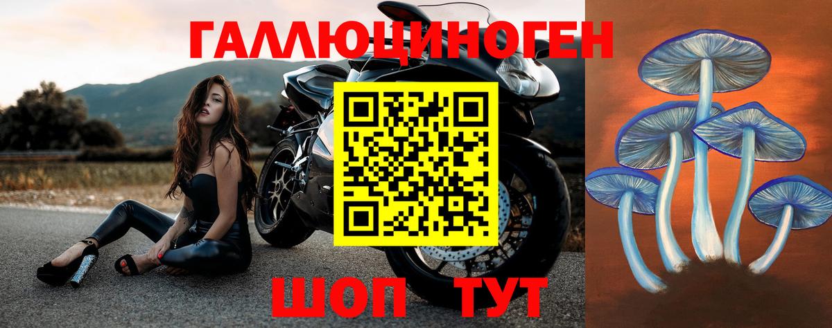 Гурьевск  Галлюциногенные грибы Psilocybe  Вход с VPN 